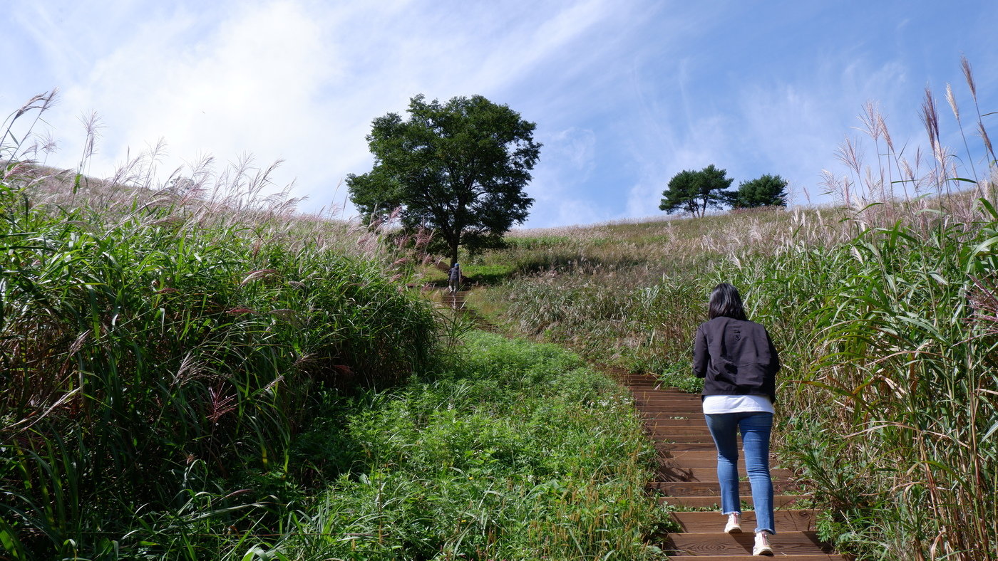 본문 이미지 - 험준하진 않지만, 숨이 헐떡 대지 않는 사람이 없을 정도로 경사가 꽤 있는 편이다. ⓒ News1  