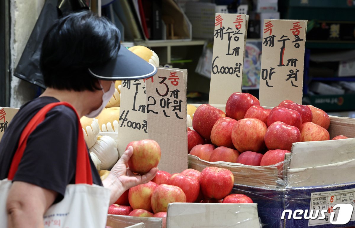 추석을 앞둔 24일 오후 서울 동대문구 경동시장을 찾은 시민이 사과를 구입하기 위해 둘러보고 있다. 2023.9.24/뉴스1 © News1 박지혜 기자