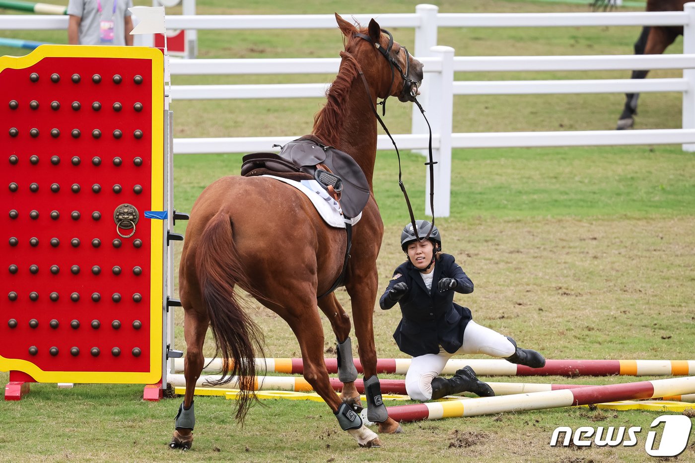 본문 이미지 - 김세희가 24일 중국 항저우 푸양 인후 스포츠센터에서 열린 2022 항저우 아시안게임 근대5종 여자 개인 결승에서 마장마술 경기 중 낙마하고 있다. 2023.9.24/뉴스1 ⓒ News1 유승관 기자