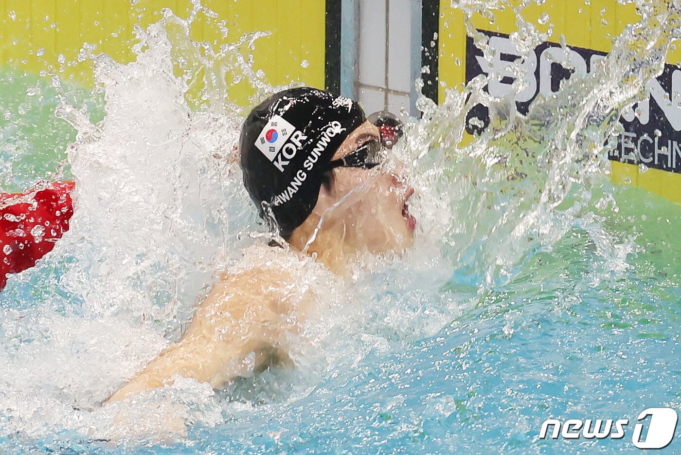 본문 이미지 - 24일 오후 중국 항저우 올림픽 스포츠센터 수영장에서 열린 남자 자유형 100m 결선 경기에서 대한민국 황선우가 역영을 펼치고 있다. 2023.9.24/뉴스1 ⓒ News1 민경석 기자