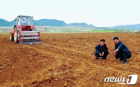 벼 수확하며 가을밀·보리 씨뿌리기도 병행하는 북한