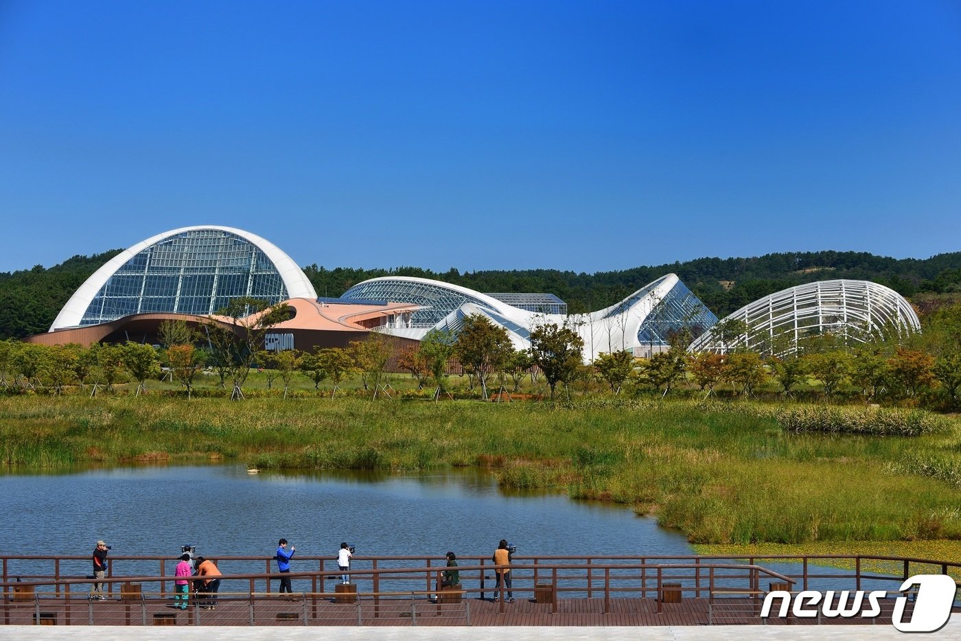 본문 이미지 - 서천 국립생태원/뉴스1