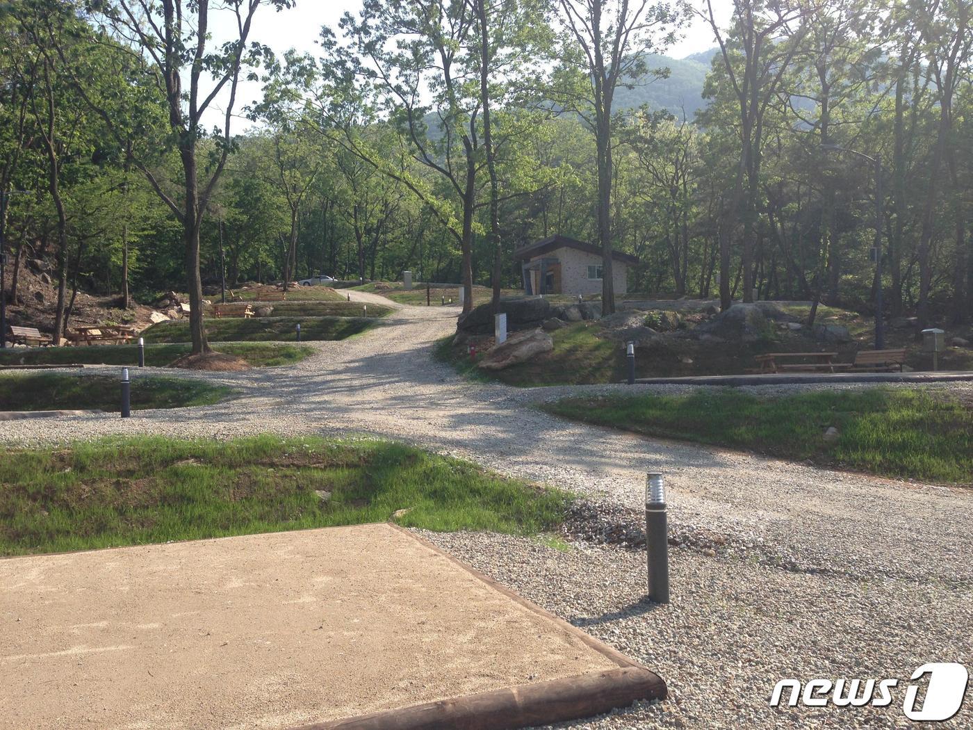 본문 이미지 - 천안 태학산. /뉴스1