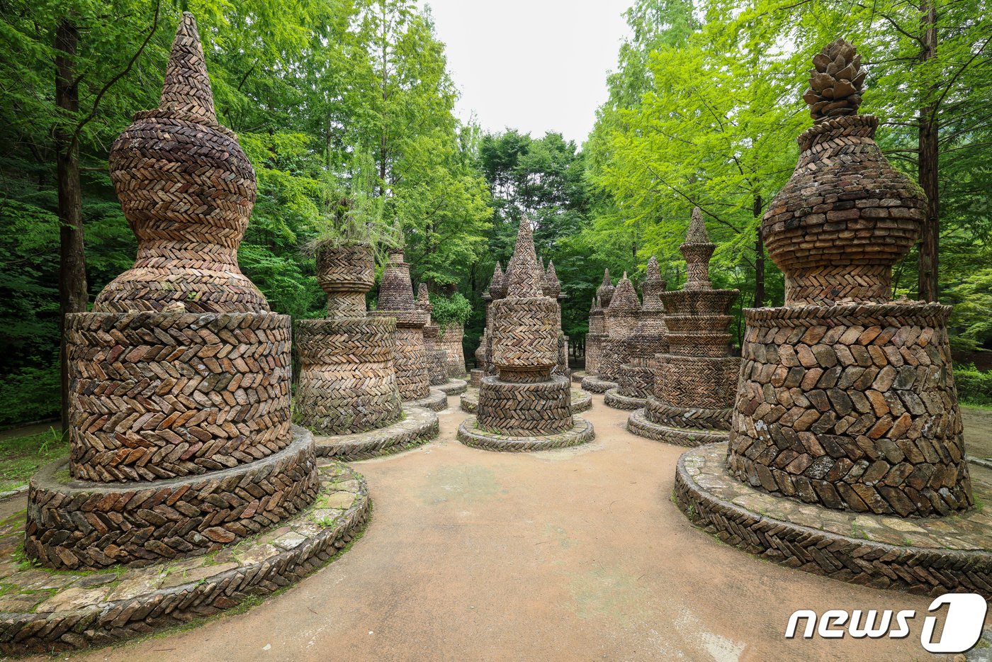본문 이미지 - 상소동 산림욕장. /뉴스1