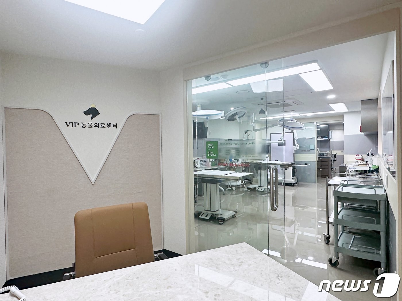 본문 이미지 - VIP동물의료센터 청담점 치과센터 진료실&#40;VIP동물의료센터 제공&#41; ⓒ 뉴스1