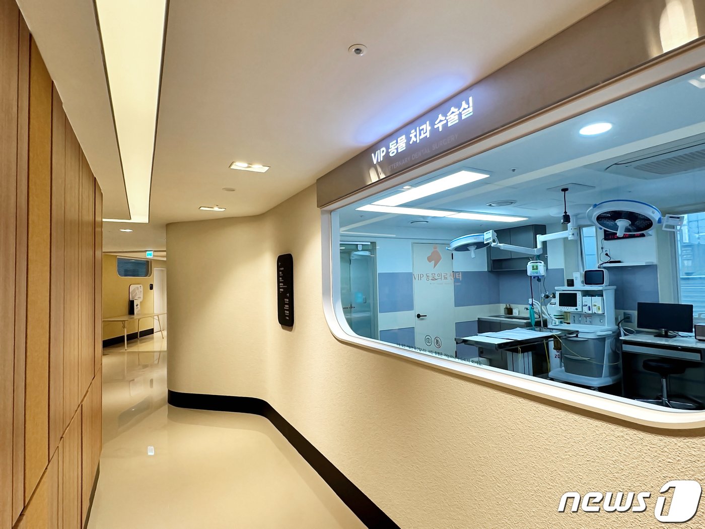 본문 이미지 - VIP동물의료센터 청담점 치과센터 수술실&#40;VIP동물의료센터 제공&#41; ⓒ 뉴스1