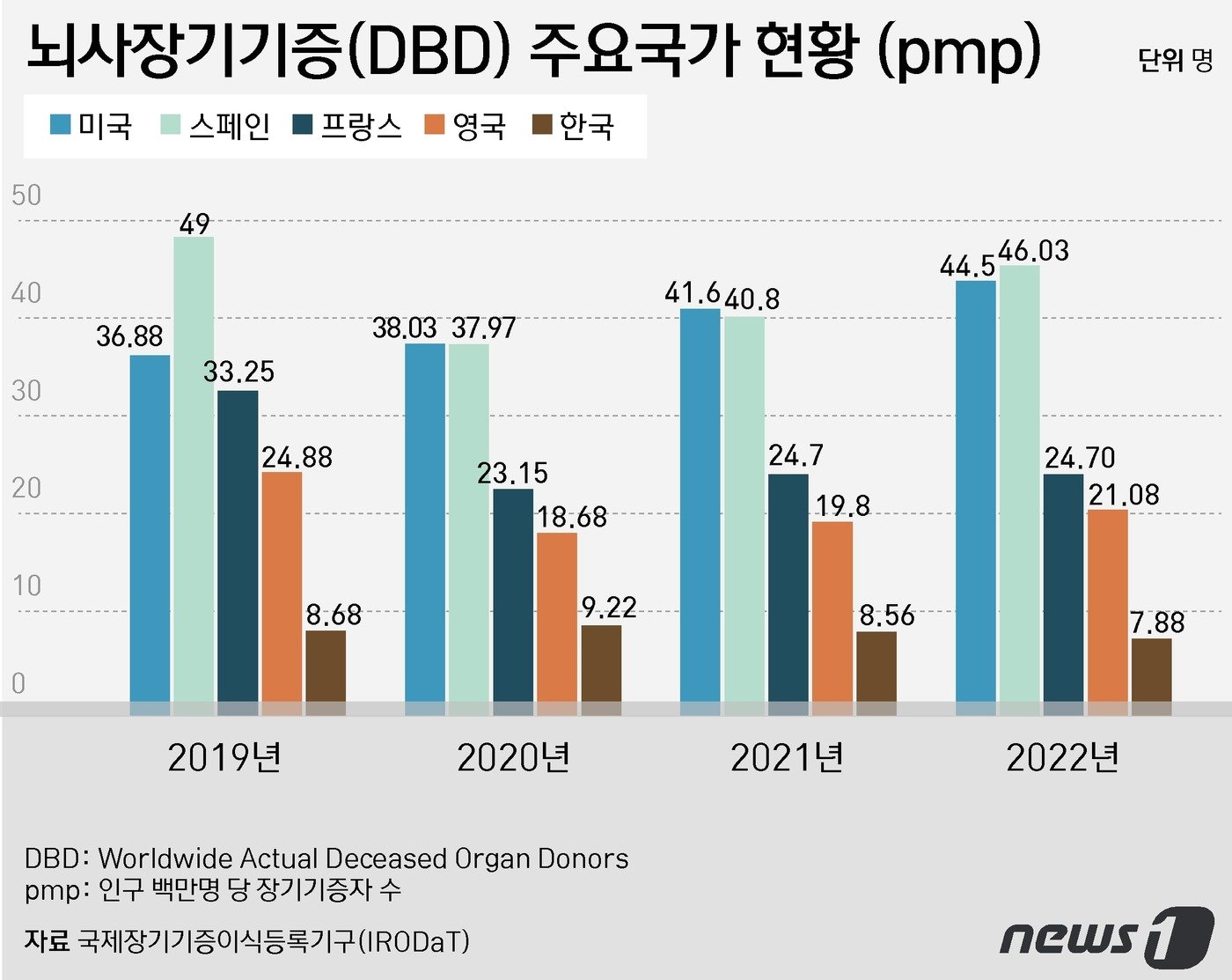 본문 이미지 - ⓒ News1 윤주희 디자이너