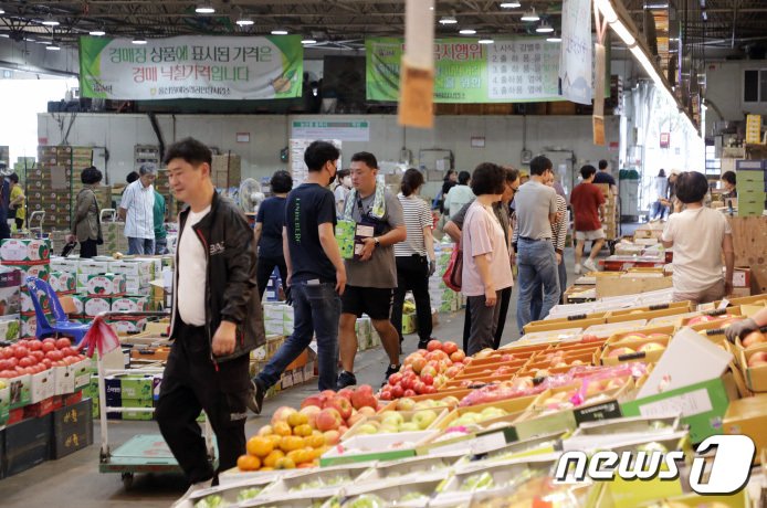 27일 오전 울산 농수산물 도매시장 청과물 도매동은 과일을 사러 나온 손님들로 북적이고 있다. .2023.9.27/뉴스1 ⓒ News1 김지혜기자