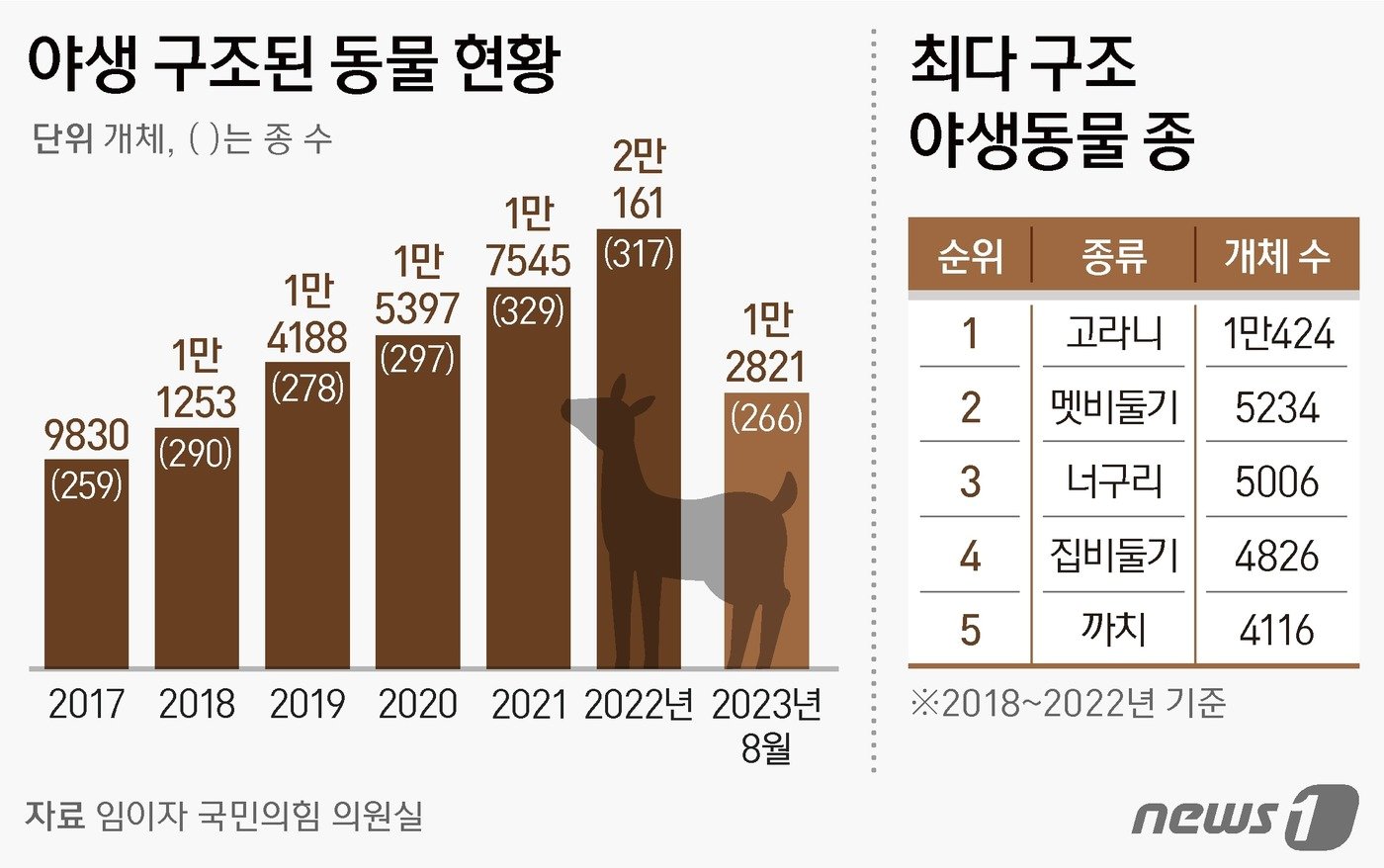 ⓒ News1 김지영 디자이너