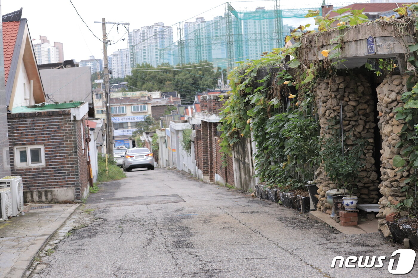 본문 이미지 - 60평 균일 규모로 형성된 약산마을 단독주택 골목. 차 한대가 겨우 지나갈 정도로 좁다. /박대준 기자