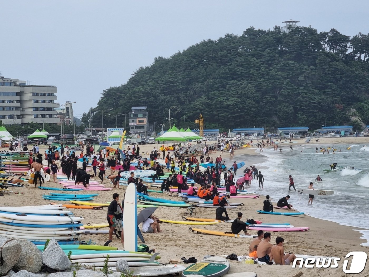 강원 양양 인구해변에서 서핑을 즐기는 서퍼들.&#40;뉴스1 DB&#41;