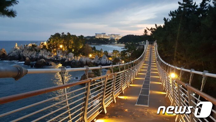 본문 이미지 - 추암 출렁다리(한국관광공사 제공)