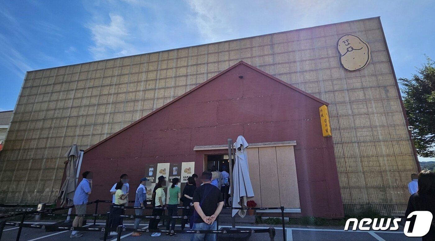 본문 이미지 - 강원 춘천 신북읍 감자밭.2023.9.24 한귀섭 기자