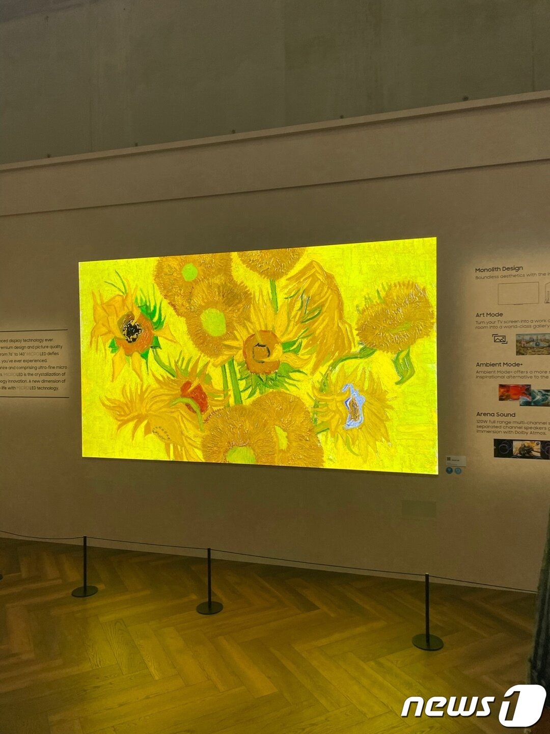 본문 이미지 - 삼성전자 IFA 전시관에 설치된 '마이크로 LED' TV 모습. 2023.9.1/뉴스1 ⓒ News1 강태우 기자