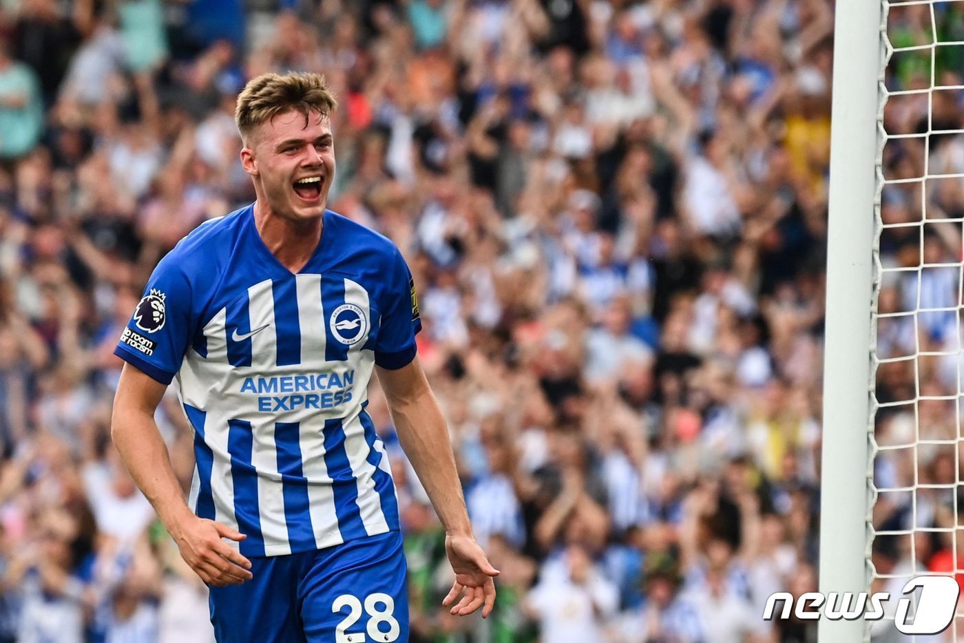 본문 이미지 - 브라이튼의 에반 퍼거슨.  ⓒ AFP=뉴스1