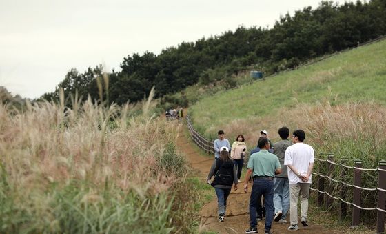 유명세에 몸살 앓는 제주오름…5단계 훼손지표로 관리