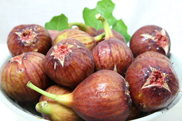 영암농식품유통센터 7월 출범…"농특산물 브랜드화 컨트롤타워"