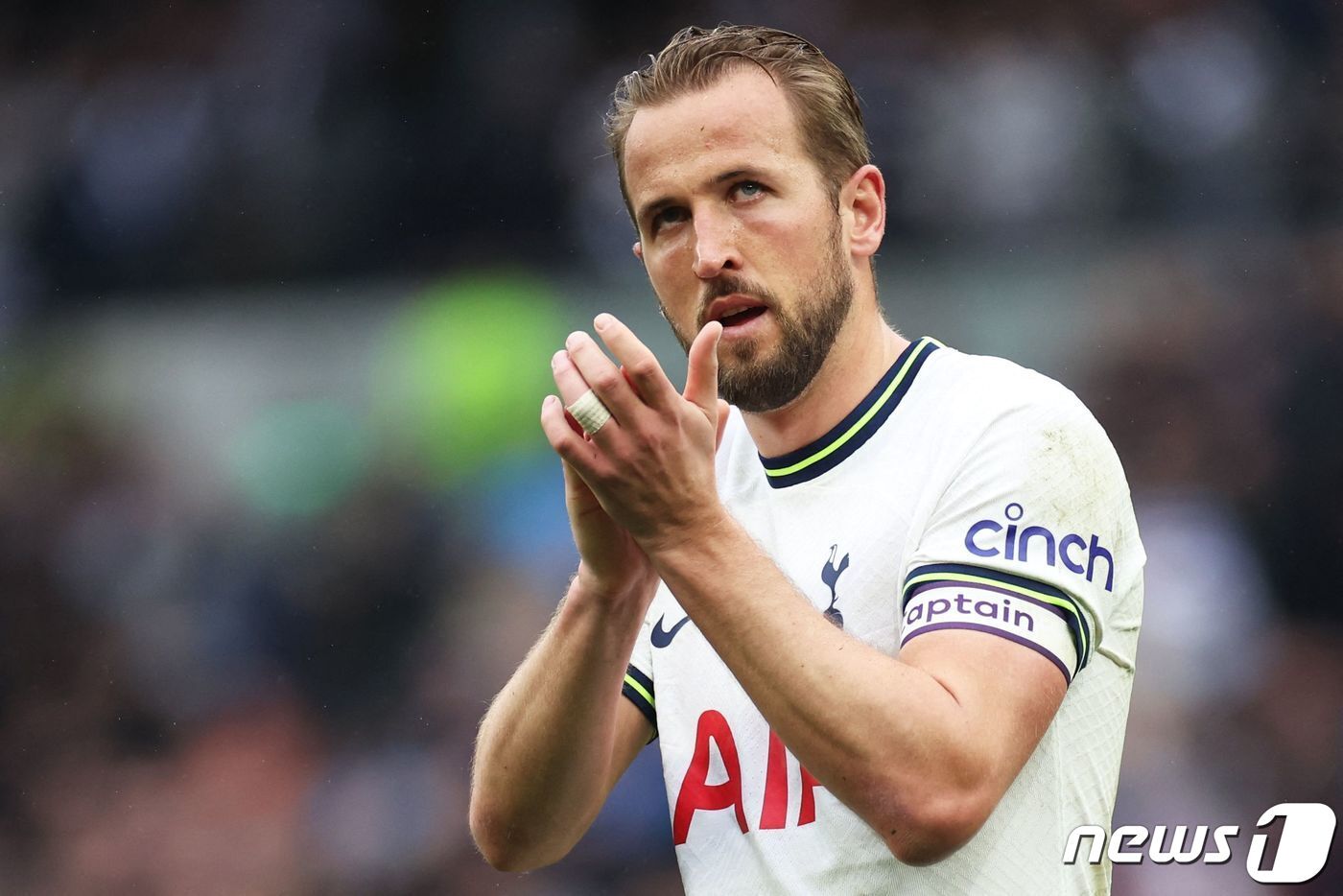 본문 이미지 - 토트넘 홋스퍼 시절의 해리 케인 ⓒ AFP=뉴스1