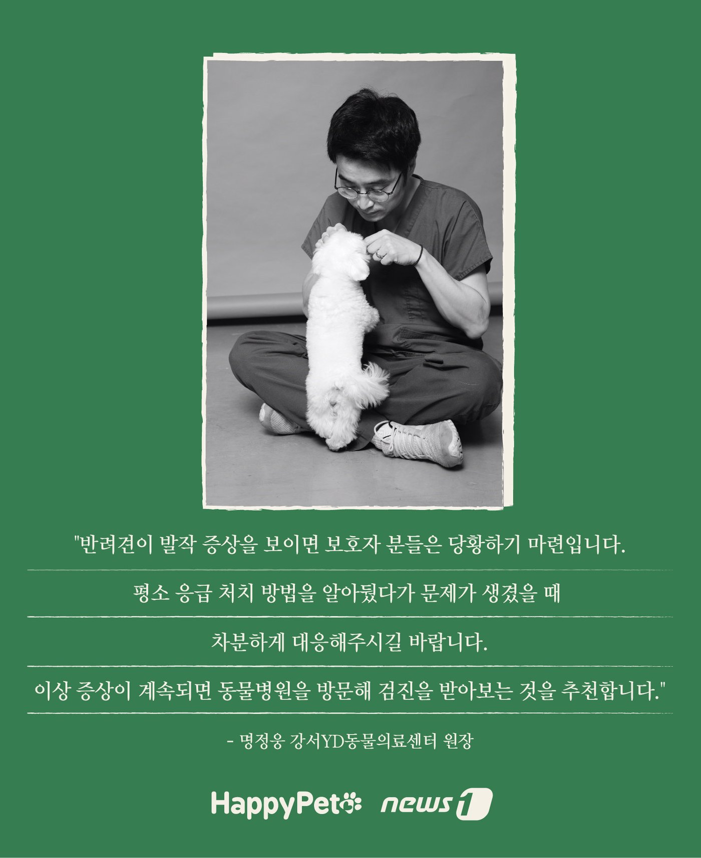 본문 이미지 - 응급처치 펫카드