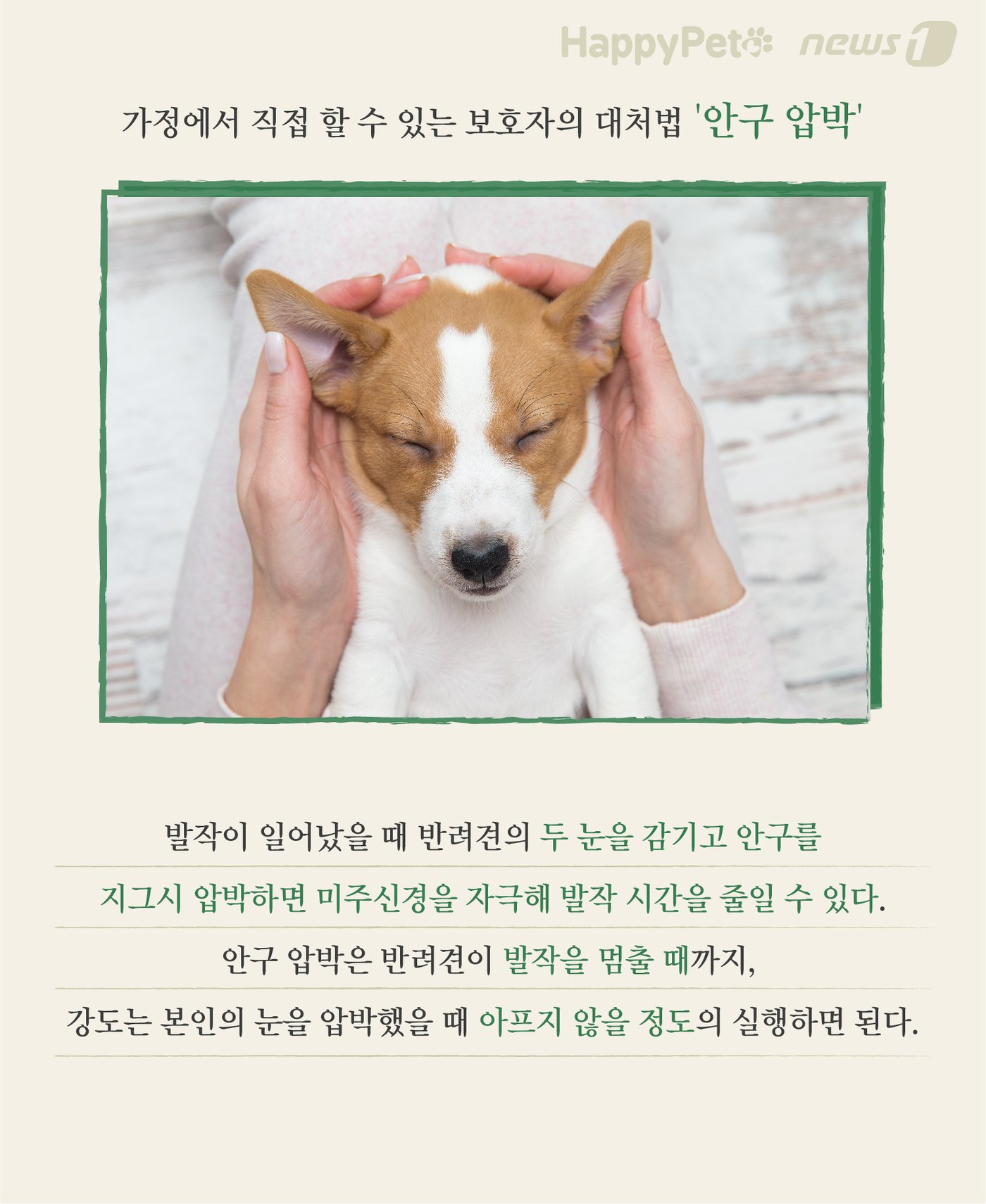 본문 이미지 - 응급처치 펫카드