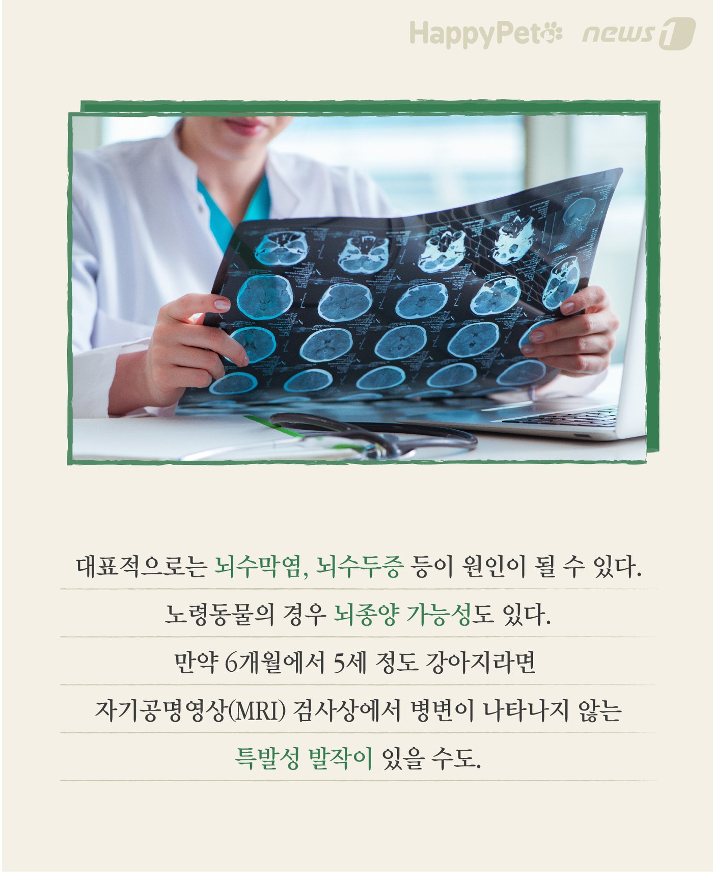 본문 이미지 - 응급처치 펫카드