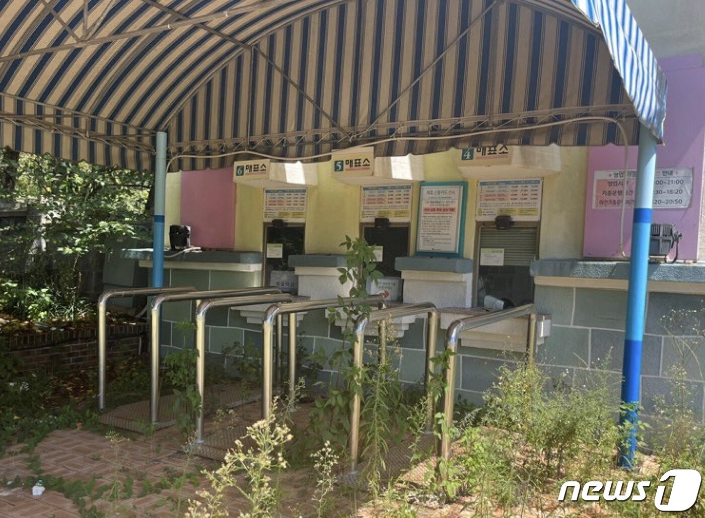 본문 이미지 - 잡풀이 무성한 매표소. 2023.9.6/뉴스1 ⓒ News1 송보현 기자