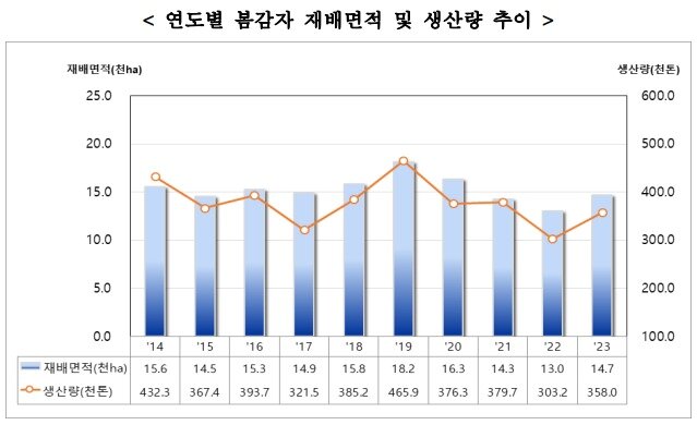 본문 이미지 - 연도별 봄감자 재배면적 및 생산량 추이(통계청 제공)/뉴스1