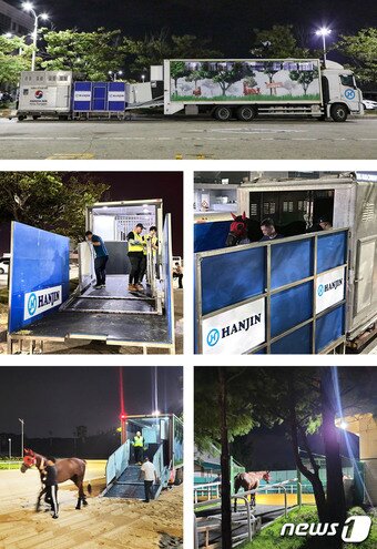본문 이미지 - 한진 관계자들이 경주마 국제 운송을 수행하는 모습 (한진 제공) 