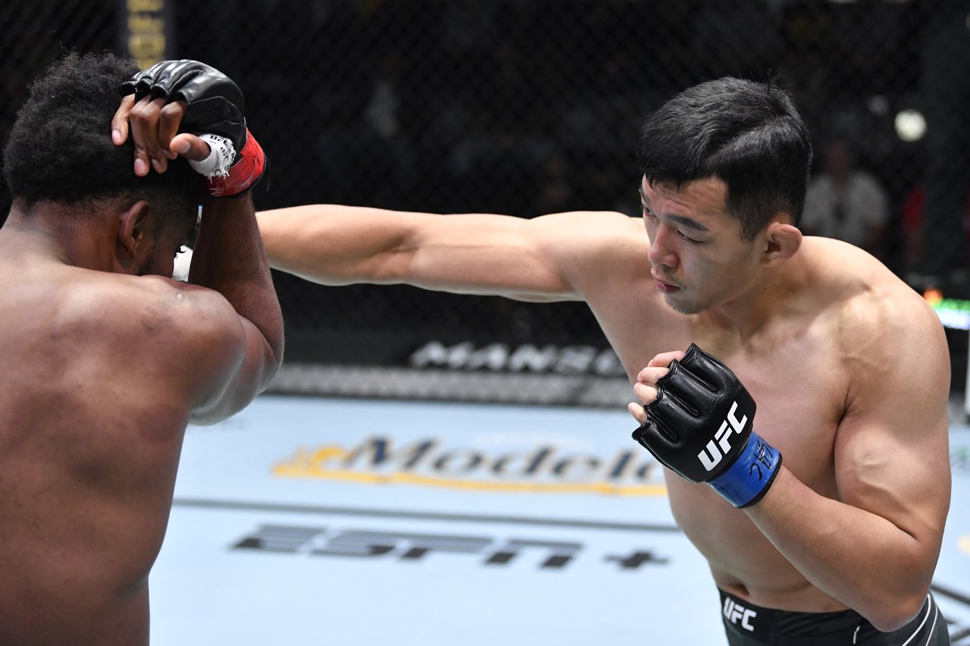 본문 이미지 - UFC 경기 중인 정다운(오른쪽). UFC 제공