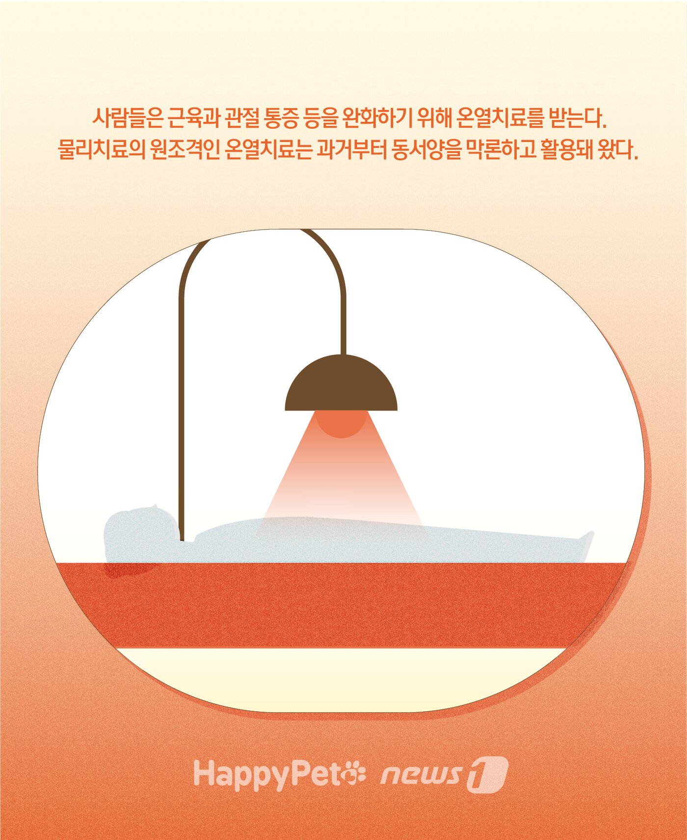 본문 이미지 - 홈케어 온열치료 펫카드 ⓒ 뉴스1