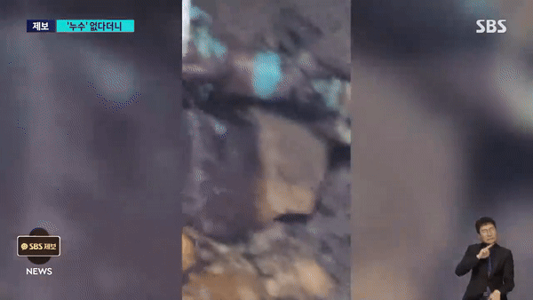 본문 이미지 - (KNN 갈무리)