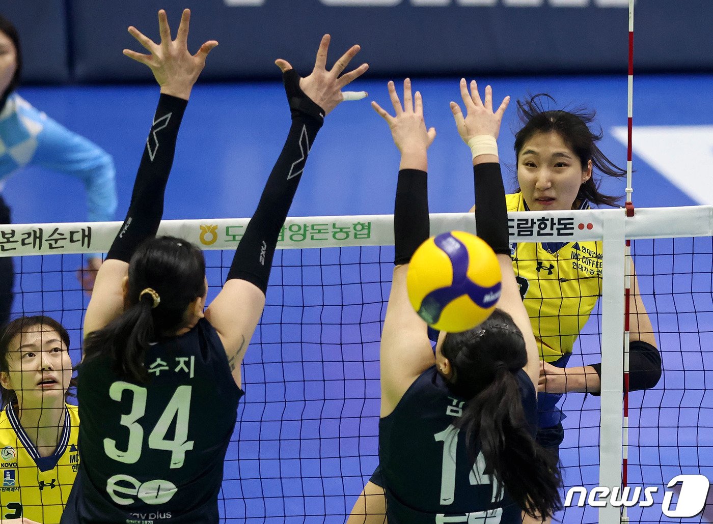 본문 이미지 - 10일 오후 경기 수원 실내체육관에서 열린 2023-24 도드림 V-리그 현대건설과 GS칼텍스와의 경기에서 현대건설 정지윤이 공격하고 있다. (현대건설배구단 제공) 2024.1.10/뉴스1 ⓒ News1 장수영 기자