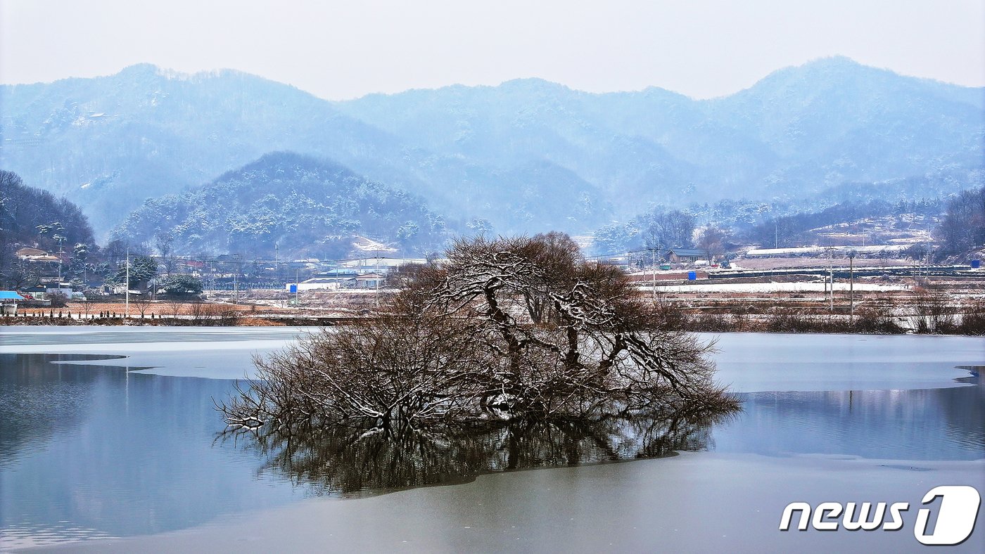 본문 이미지 - 괴산 소매저수지.(괴산군 제공)/뉴스1 ⓒ News1 엄기찬 기자