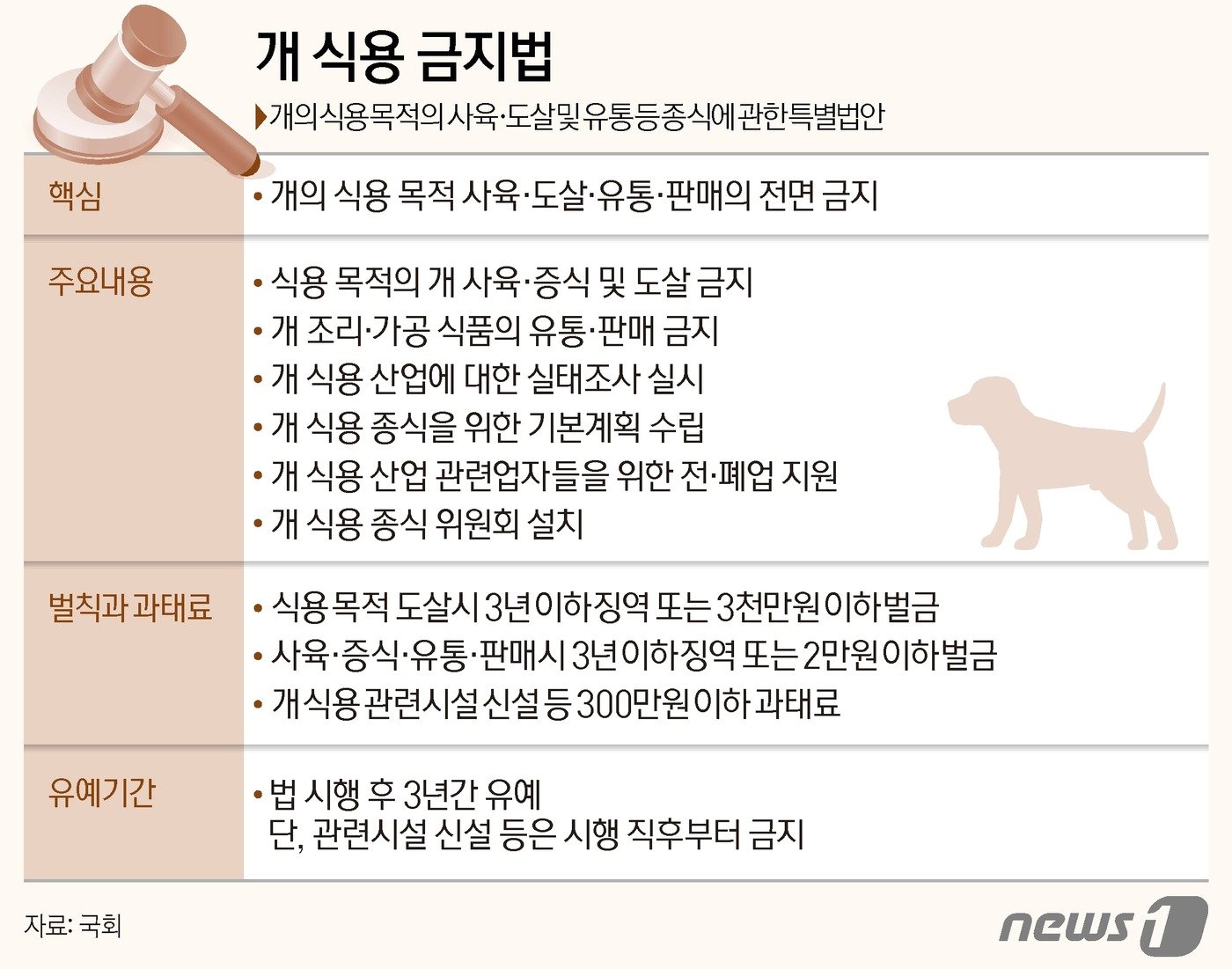 본문 이미지 - ⓒ News1 양혜림 디자이너