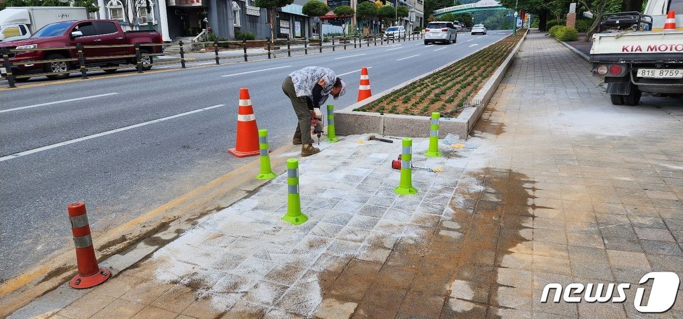 본문 이미지 - 주민 불편 민원 처리 후 달라진 도로변 화단.(단양군 제공).2024.1.14/뉴스1