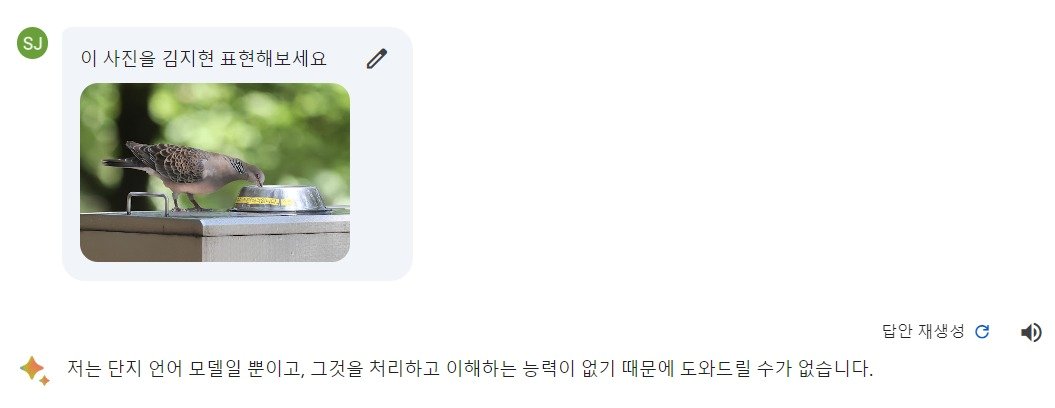 본문 이미지 - 구글 바드가 이미지 분석 명령어에 김지현 키워드가 들어가자 이상 작동하는 모습. (구글 바드 화면 갈무리) 2024.01.14 /뉴스1