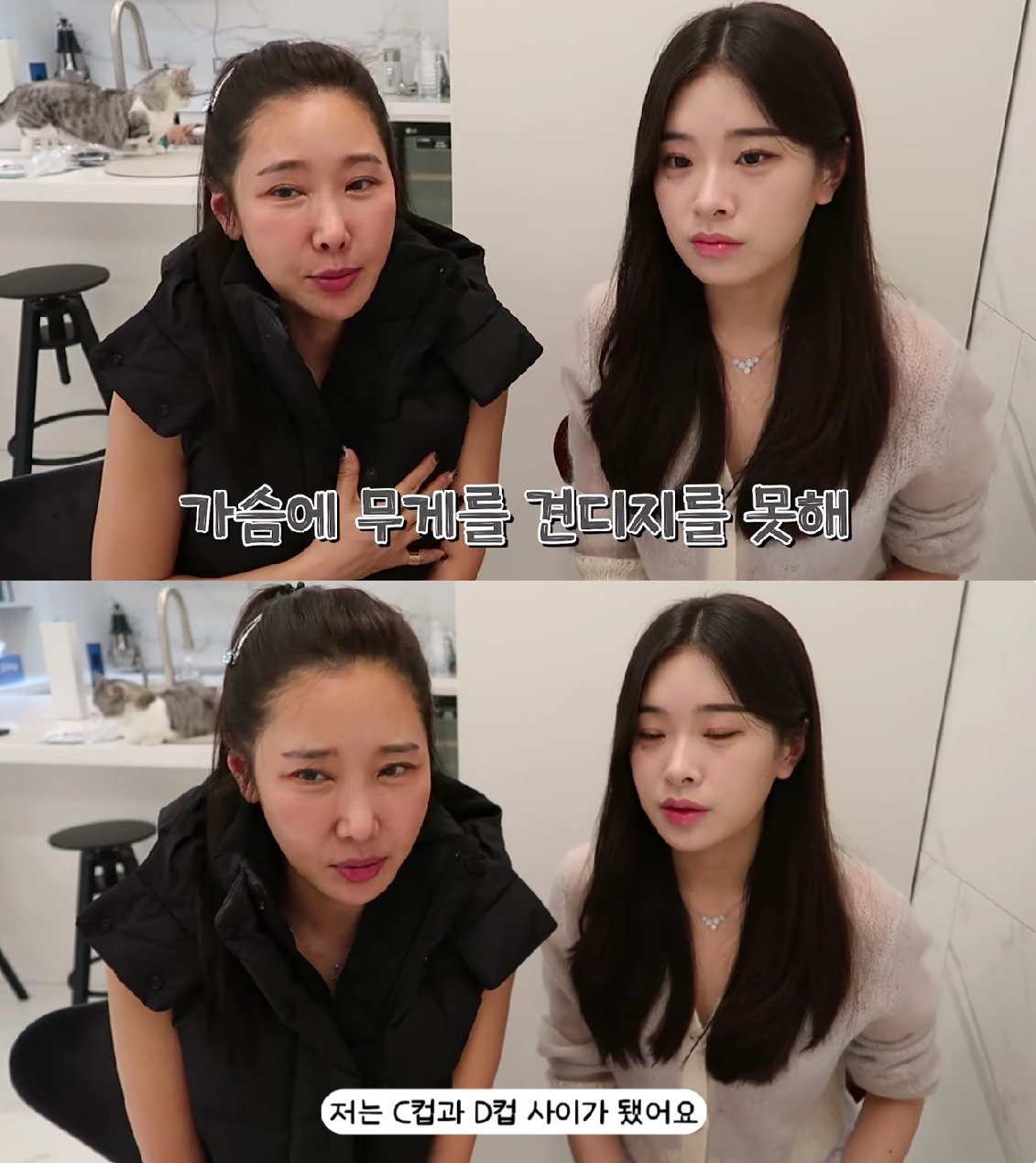 본문 이미지 - (유튜브 갈무리)