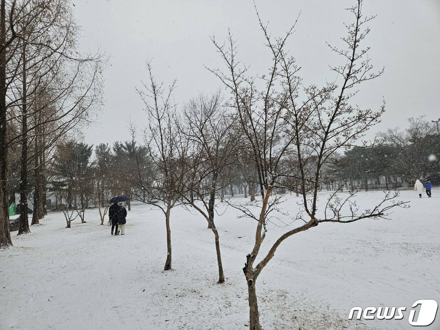 14일 오후 1시쯤 강원 춘천 삼천동 의암공원에서 시민들이 눈을 맞으며 걷고 있다.2024.1.14 한귀섭 기자