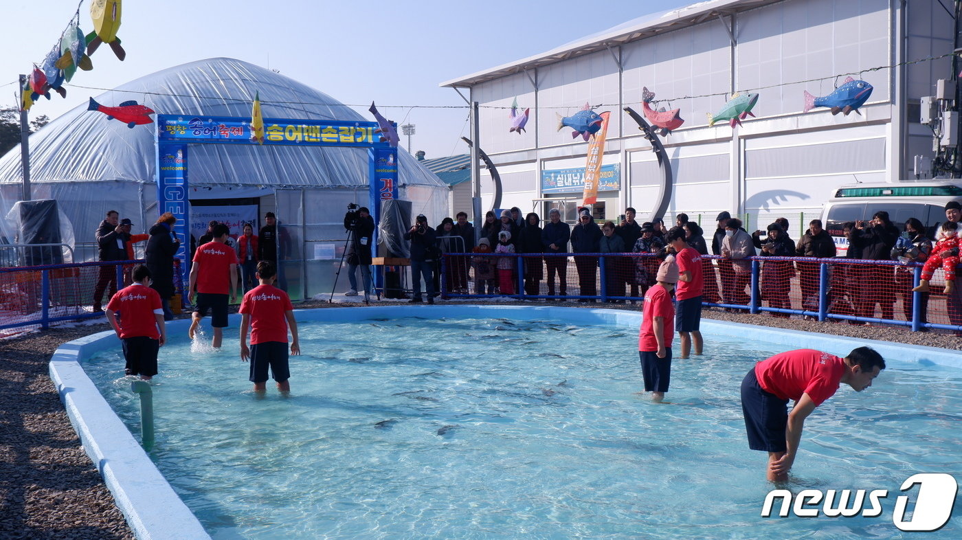 본문 이미지 - 평창 송어 축제에서 맨손잡기에 나선 관광객들의 모습ⓒ News1 