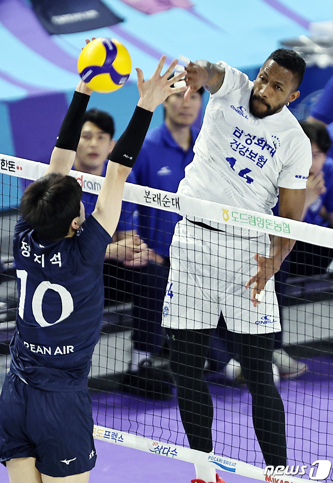 본문 이미지 - 지난 시즌 삼성화재에서 활약했던 요스바니의 모습. /뉴스1 DB ⓒ News1 박정호 기자