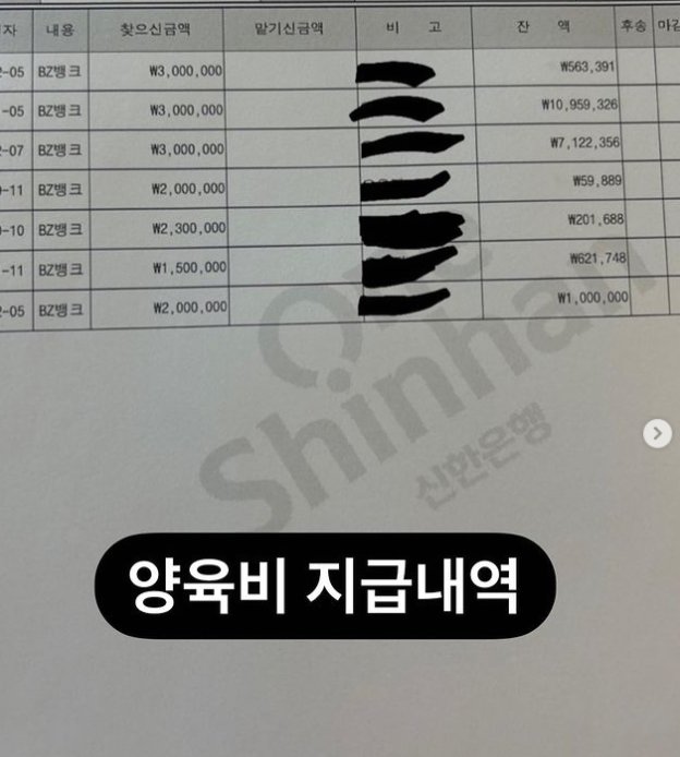 본문 이미지 - 전처에게 양육비 8000만원을 지급하지 않아 형사고소를 당한 쇼트트랙 전 국가대표 김동성 아내 인민정이 양육비 지급 내역을 공개했다. 인스타그램 갈무리