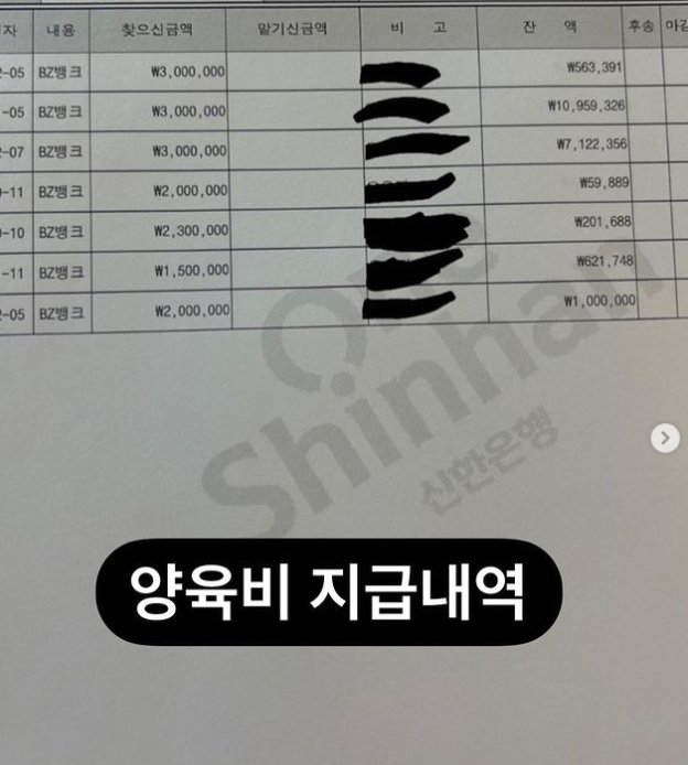 전처에게 양육비 8000만원을 지급하지 않아 형사고소를 당한 쇼트트랙 전 국가대표 김동성 아내 인민정이 양육비 지급 내역을 공개했다. 인스타그램 갈무리