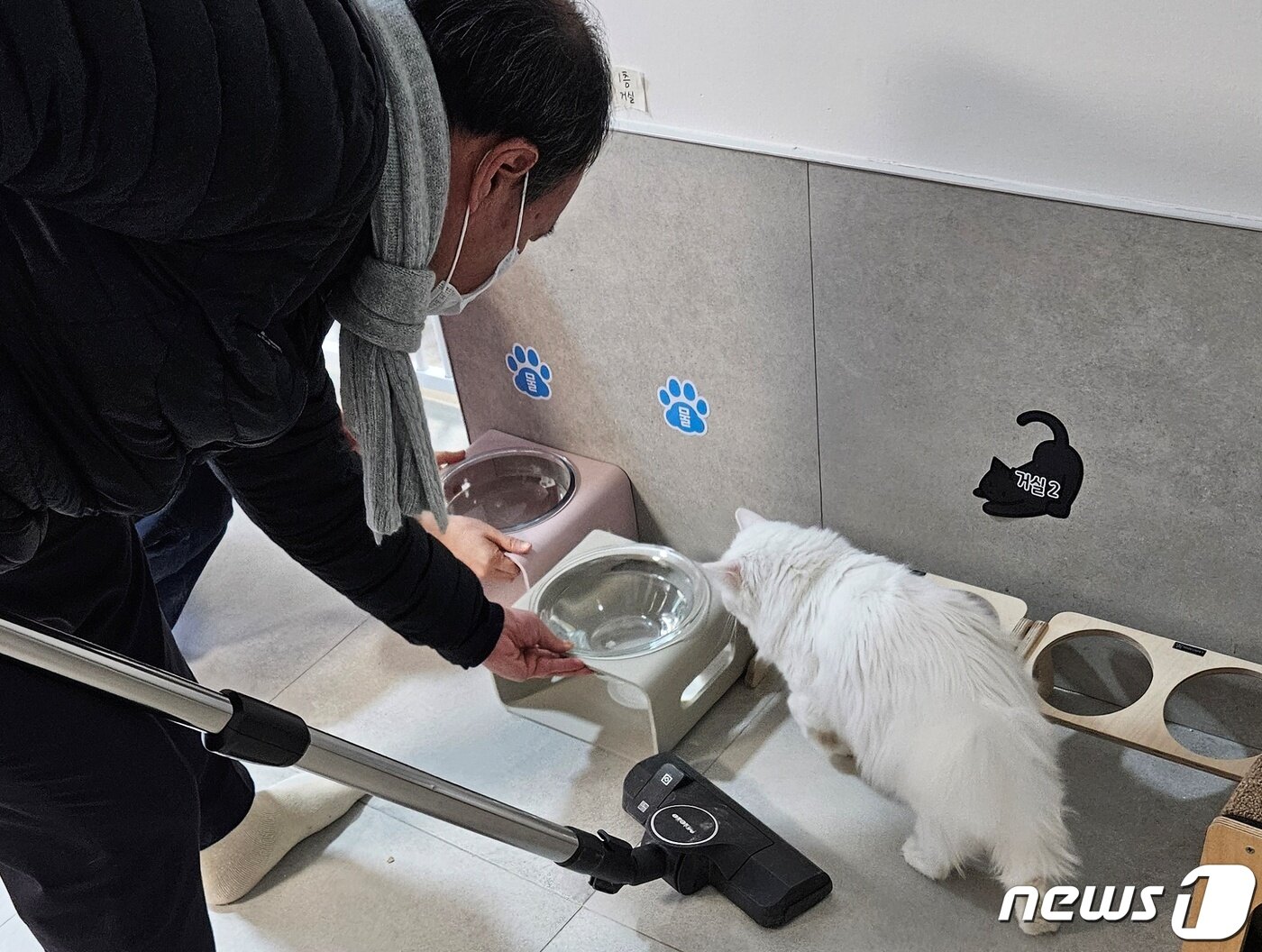 본문 이미지 - 대한수의사회 임직원들은 2일 서울 나비야사랑해 보호소에서 시무식 겸 봉사활동을 진행했다. ⓒ 뉴스1 최서윤 기자