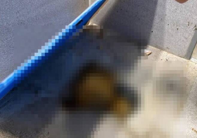 본문 이미지 - 세종의 한 신축 아파트 단지 사전점검에 나섰던 입주예정자들이 엉망진창인 아파트의 내부 모습을 공개해 충격을 안기고 있다. (보배드림 갈무리)