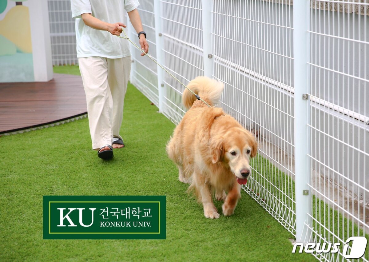 건국대 미래지식교육원은 '애완동물관리전공'을 신설했다.(건국대 제공) © 뉴스1