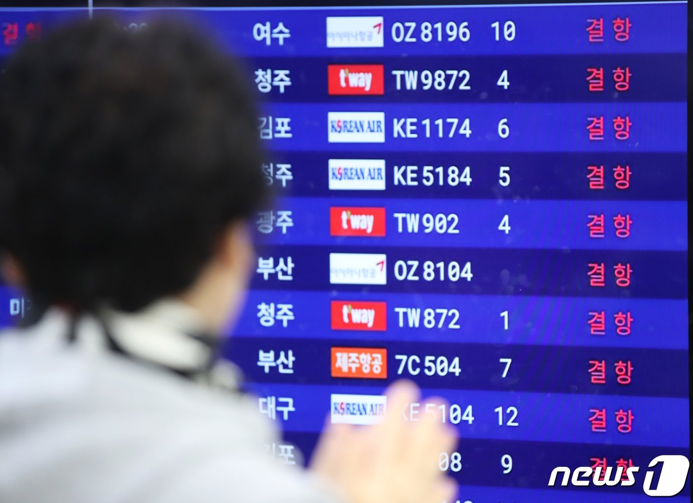 본문 이미지 - 제주지역 폭설과 강풍으로 항공기 결항이 이어지고 있는 23일 오전 제주국제공항 국내선 출발장 전광판에 결항 안내가 뜨고 있다. 2024.1.23/뉴스1 ⓒ News1 오현지 기자