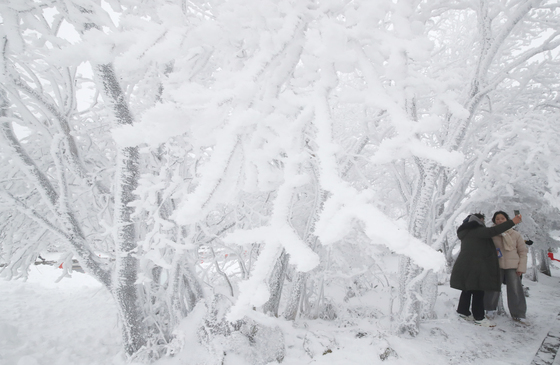 제주도 산지 대설 예비특보…14일까지 최대 15㎝ 이상 쌓일 듯
