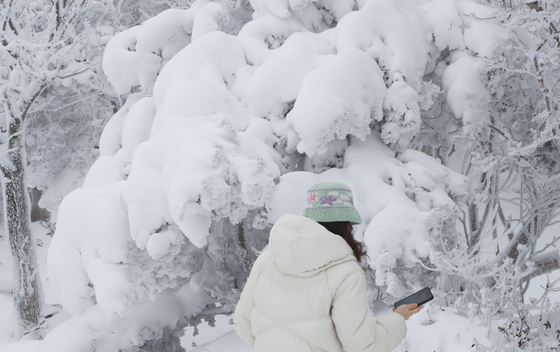 [오늘의 날씨]제주(24일, 토)…산지에 눈, 최대 5㎝