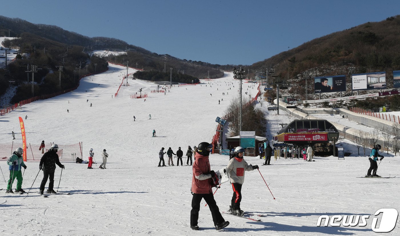 본문 이미지 - 매서운 한파가 이어지고 있는 25일 경기 광주시 곤지암리조트 스키장에서 시민들이 스키와 보드를 타며 겨울을 만끽하고 있다. 2024.1.25/뉴스1 ⓒ News1 김영운 기자