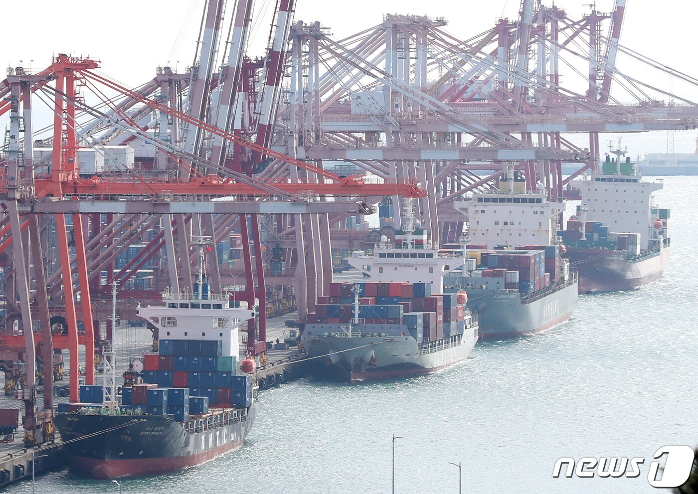 본문 이미지 - 부산항 신선대부두에서 컨테이너 하역작업이 진행되고 있다. 2024.1.25/뉴스1 ⓒ News1 윤일지 기자